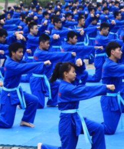 cac-the-vat-tu-ve-vovinam-co-ban