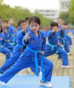 hoc-cac-the-vat-tu-ve-vovinam-co-ban