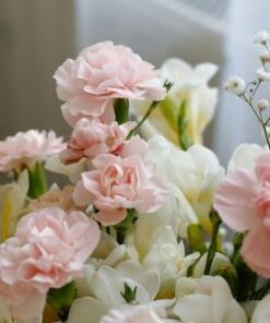 hoc-cam-hoa-ngay-tet