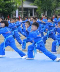 khoa-hoc-cac-the-vat-tu-ve-vovinam-co-ban