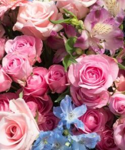 khoa-hoc-cam-hoa-ngay-tet-don-gian