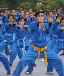 khoa-hoc-vovinam-duong-sinh-trinh-do-1