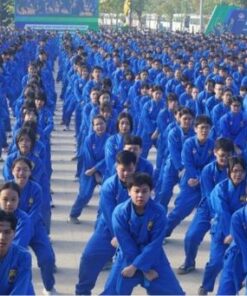 khoa-hoc-vovinam-duong-sinh-trinh-do-2