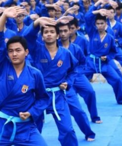 khoa-hoc-vovinam-viet-vo-dao-co-ban