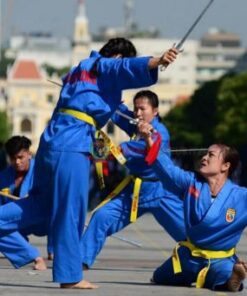 thong-tin-khoa-hoc-vovinam-viet-vo-dao-co-ban