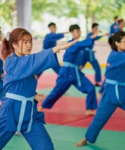 vovinam-duong-sinh-trinh-do-1
